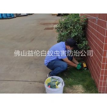 三水布放灭鼠屋工程