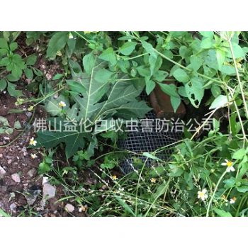 南海住宅区处理蛇患工程