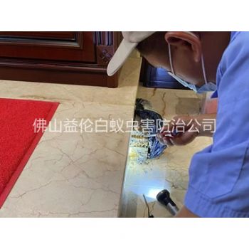 禅城安装诱杀箱监测白蚁工程